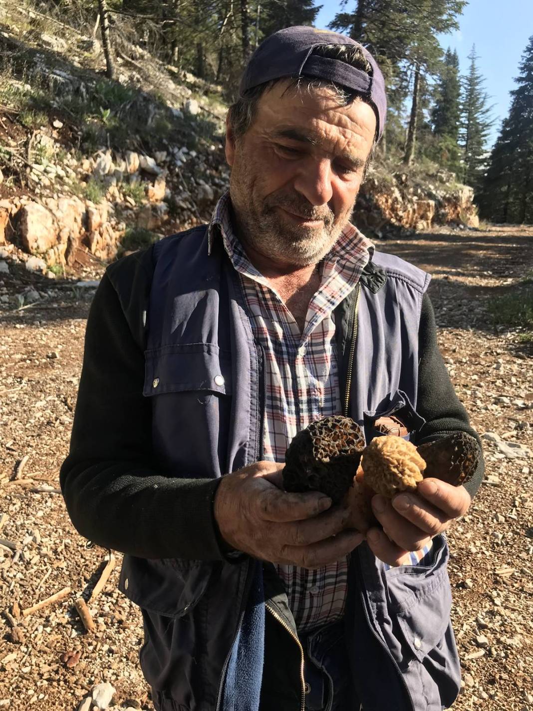 Ormanda toplayıp ton ton para kazanıyor! Sıfır sermayeyle... Kilosu 2 bin 500 TL 2